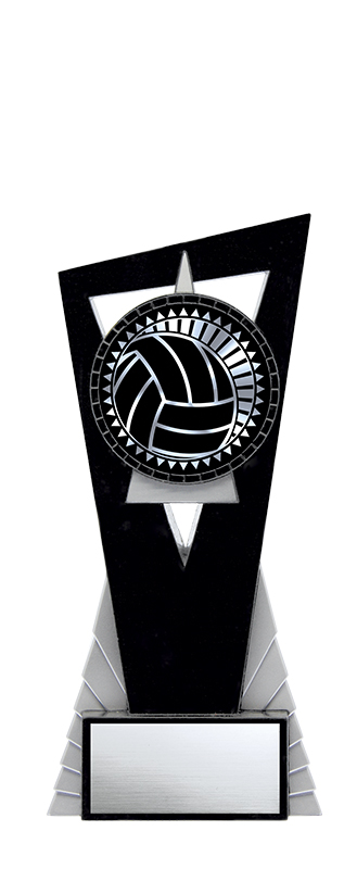 (image for) Solar Volleyball Silver - 7"